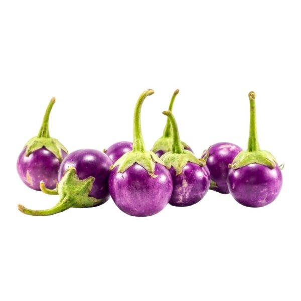 Eggplant (Biringanya) - Small