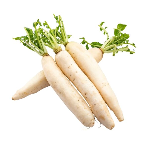 White radish (Radishi Nyeupe) - 1 Pc