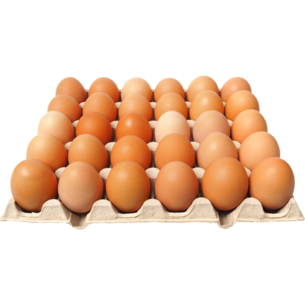 Eggs - 1 Tray